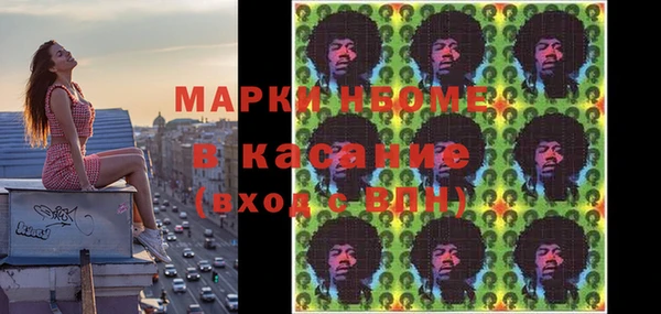 индика Балахна
