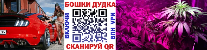 площадка наркотические препараты  omg ONION  Юрга  Канабис тримм 